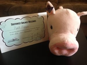 Pig Certificate