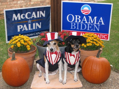 Political Pups