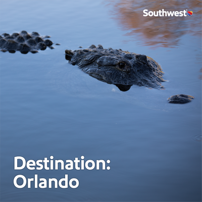 Destination Orlando: An Unexpected Adventure