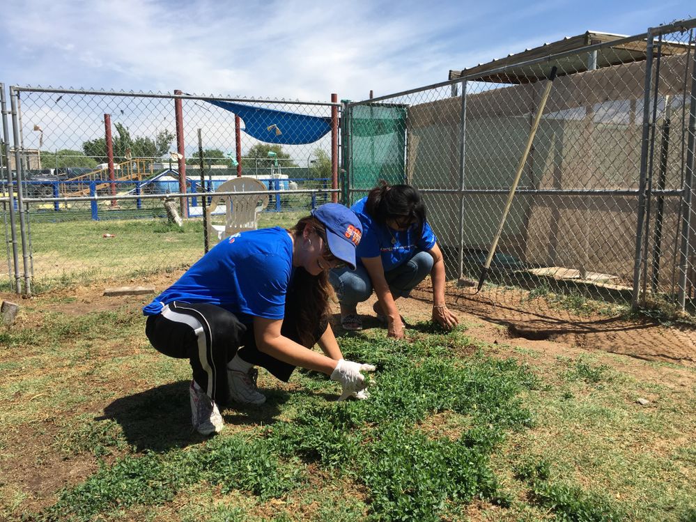 Southwest Employees from the El Paso Station volunteering for a cleanup day at Animal Rescue League of El Paso