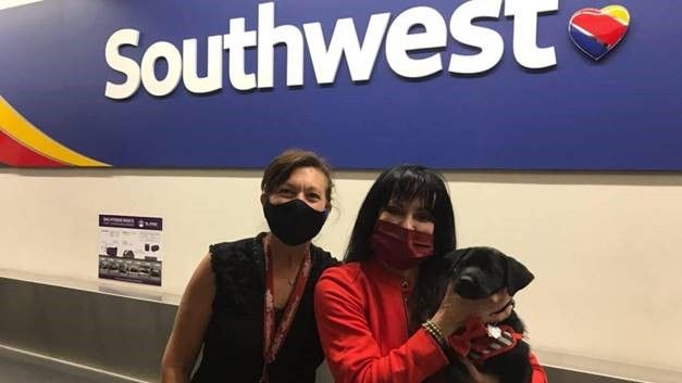 Left to right: Las Vegas-based Flight Attendant Marcel, El Paso Customer Service Agent Elizabeth, and Harris the pup