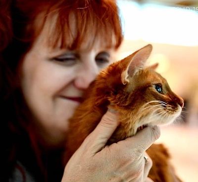 Flying with Felines—Southwest Airlines Celebrates National Cat Day