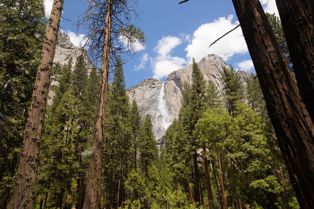 Yosemite National Park; photo by Stephen M. Keller
