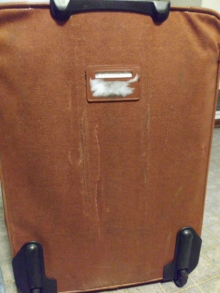 luggage1.jpg
