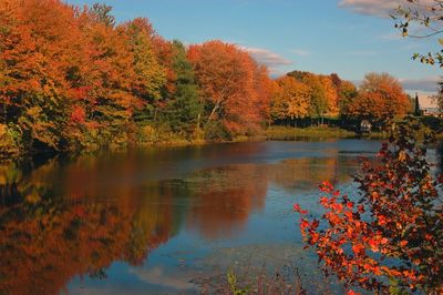 Stunning Fall Colors in Boston