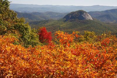 South Carolina Fall Colors