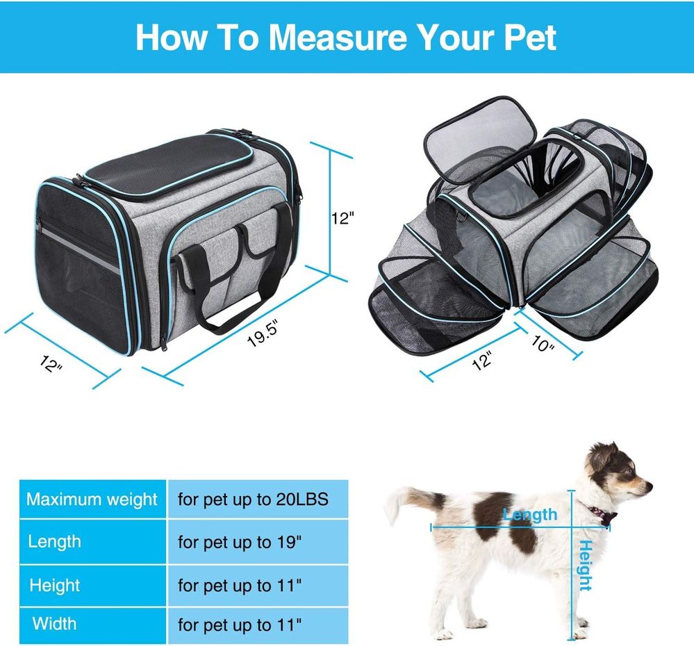 Solved: Is this an acceptable pet carrier (sizing concern) - The Southwest  Airlines Community
