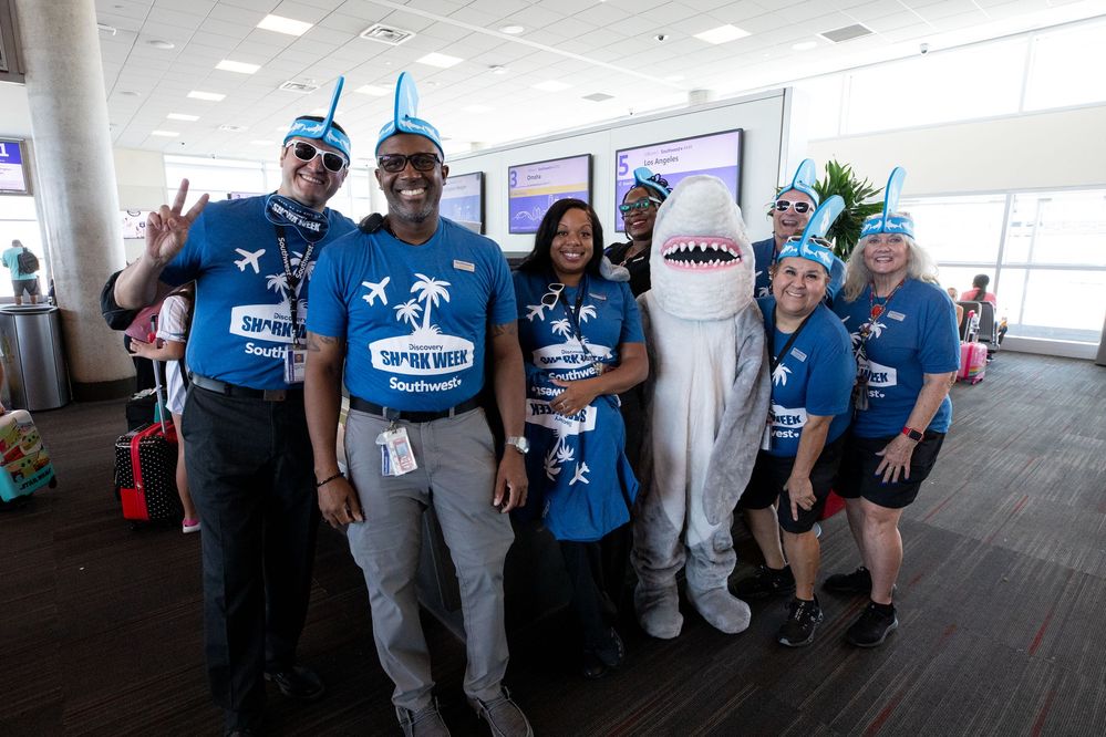 Dallas Employees Celebrating Shark Week.JPG