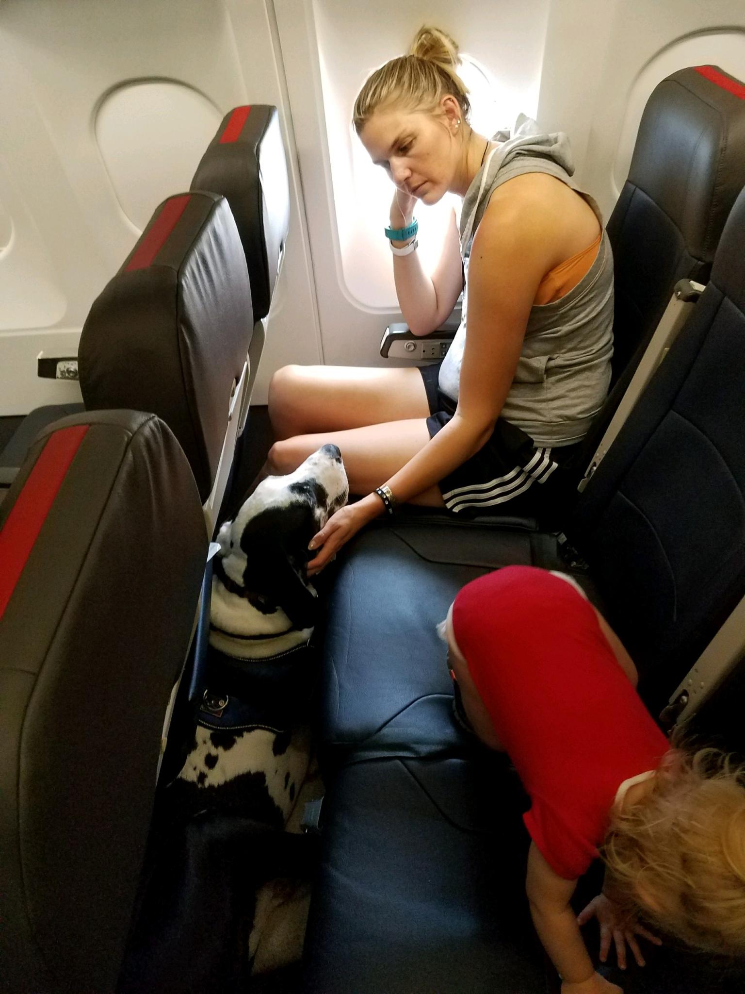 sw airlines pet travel