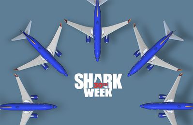 SharkWeekPlanes740x480.jpg