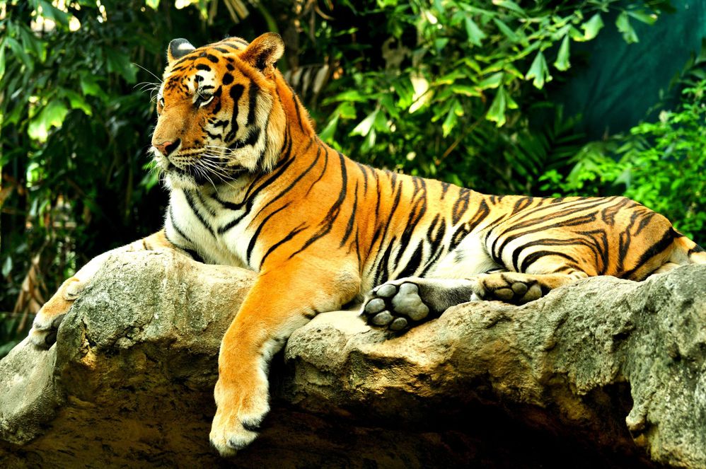 Take the kids on an exotic adventure at the Nashville Zoo.