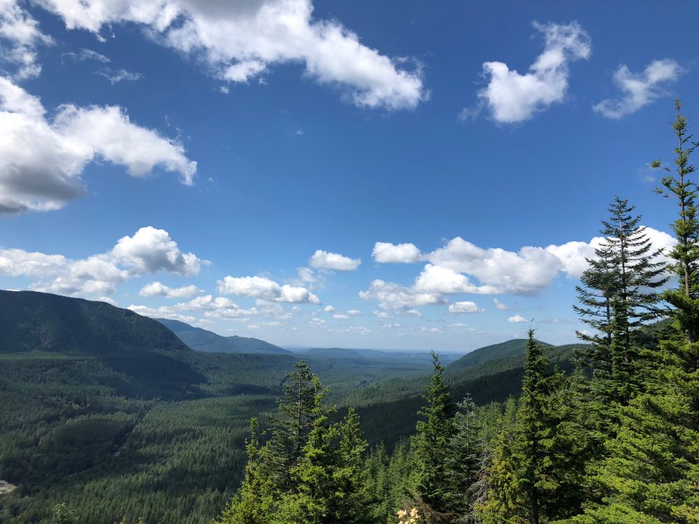 Hikes through Snowqualmie National Forest are great for all ages and skill levels and offer some of the most stunning views of Washington.