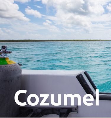 Destination Cozumel: Dive In and Enjoy Paradise