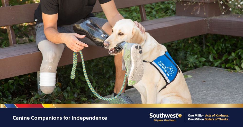 One Million Dollars of Thanks Winner Canine Companions for Independence