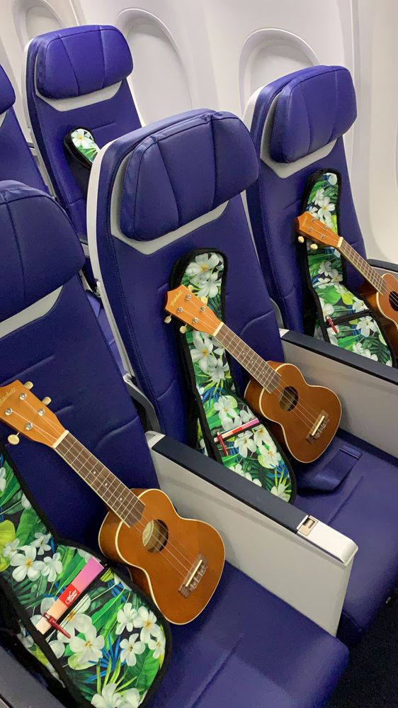 Southwest airlines surprises customers with ukuleles inflight.jpg